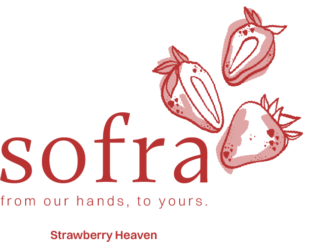 Logotype / wordmark